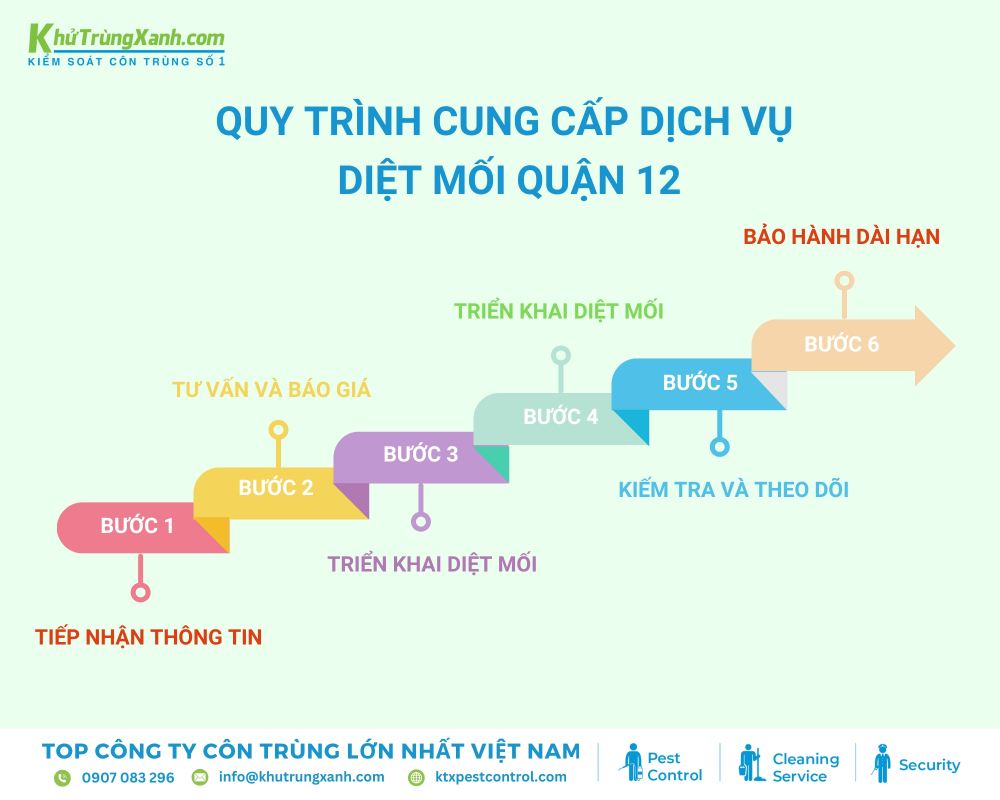Quy trình triển khai dịch vụ diệt mối quận 12