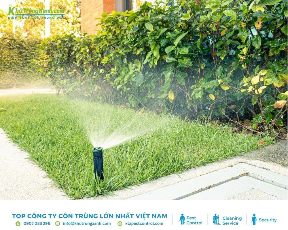 Nên lắp đặt hệ thống phun nước ở sân vườn hoặc cửa ra vào để tăng hiệu quả