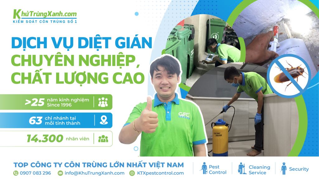 dịch vụ diệt gián