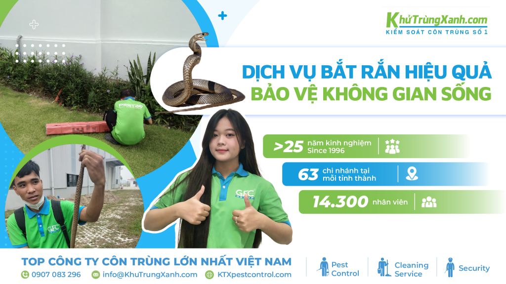 dịch vụ bắt rắn