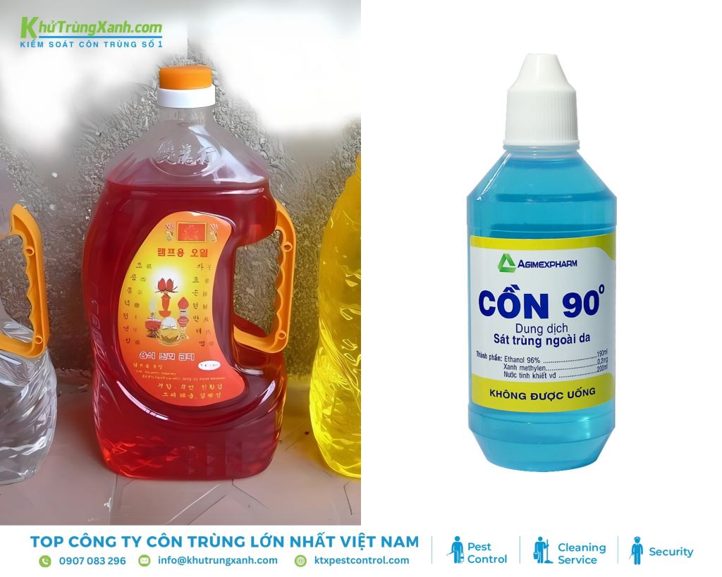 Dùng dầu hỏa hoặc cồn diệt mối hiệu quả