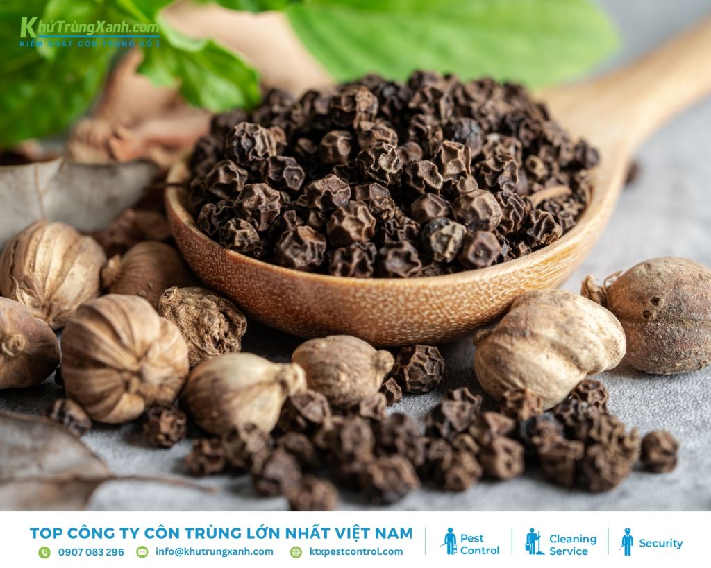 Dùng tiêu đen để đuổi kiến nhanh chóng hiệu quả