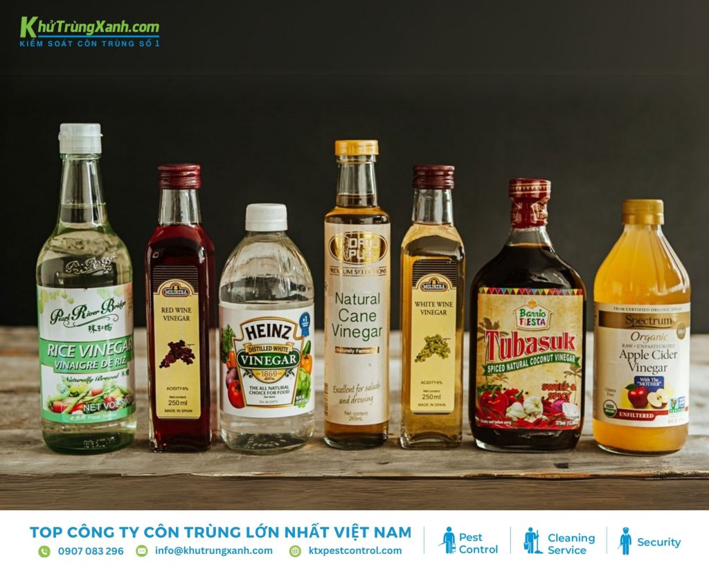 Giấm trắng là một giải pháp xua đuổi kiến ra khỏi tủ quần áo dễ dàng