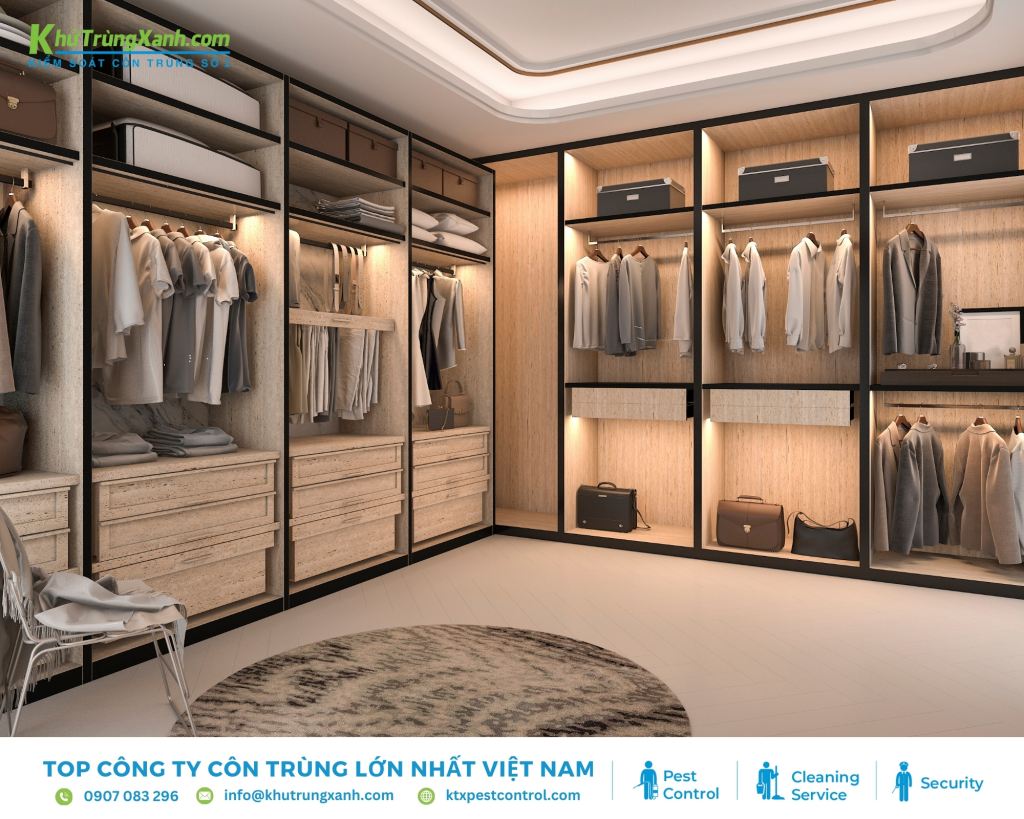 Lý do trong tủ quần áo xuất hiện kiến