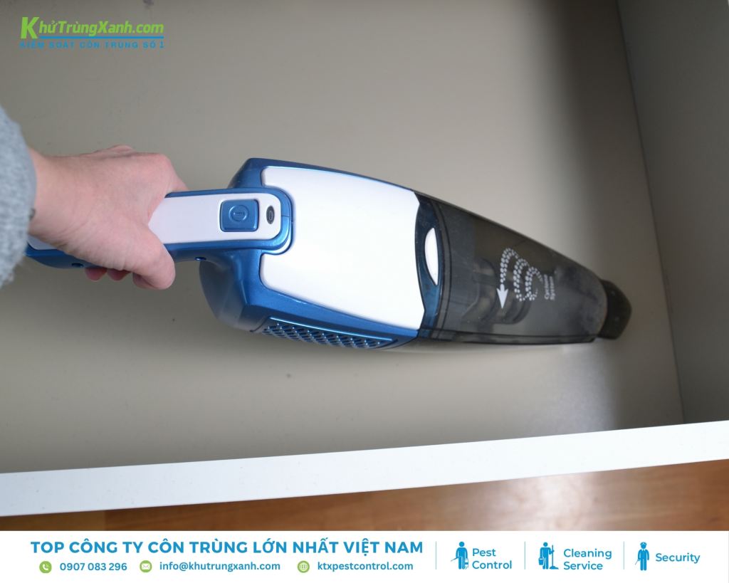 Máy hút bụi là lựa chọn cho mọi nhà khi xua đuổi và tiêu diệt kiến