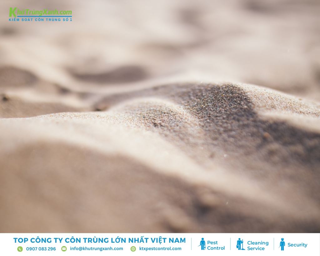 Đất tảo cát là lựa chọn an toàn để xua đuổi kiến ra khỏi tủ quần áo