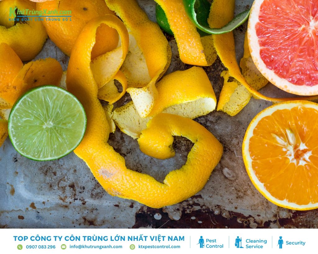 Vỏ cam hoặc vỏ chanh cũng là một lựa chọn để xua đuổi kiến ra khỏi tủ quần áo