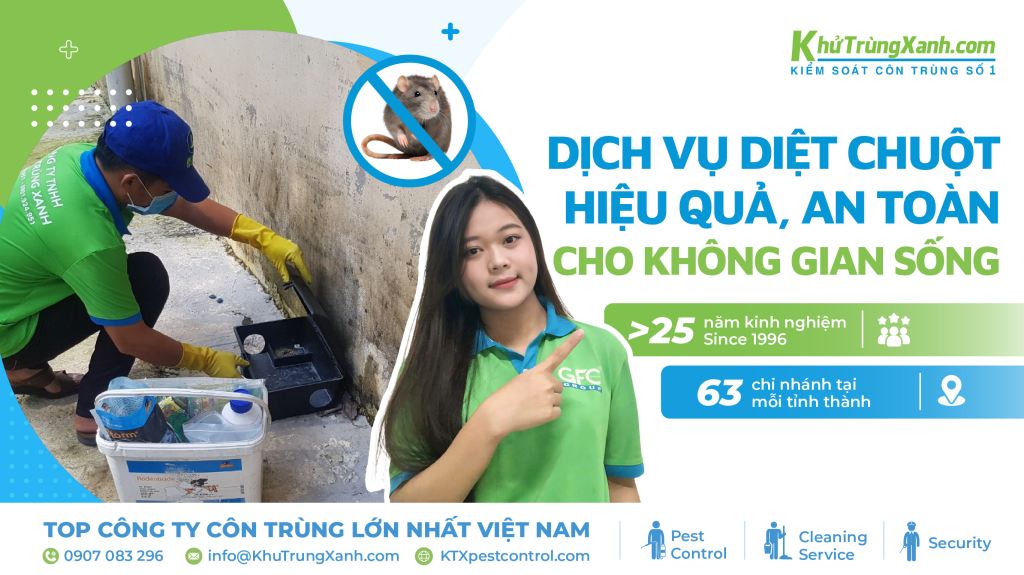 dịch vụ diệt chuột