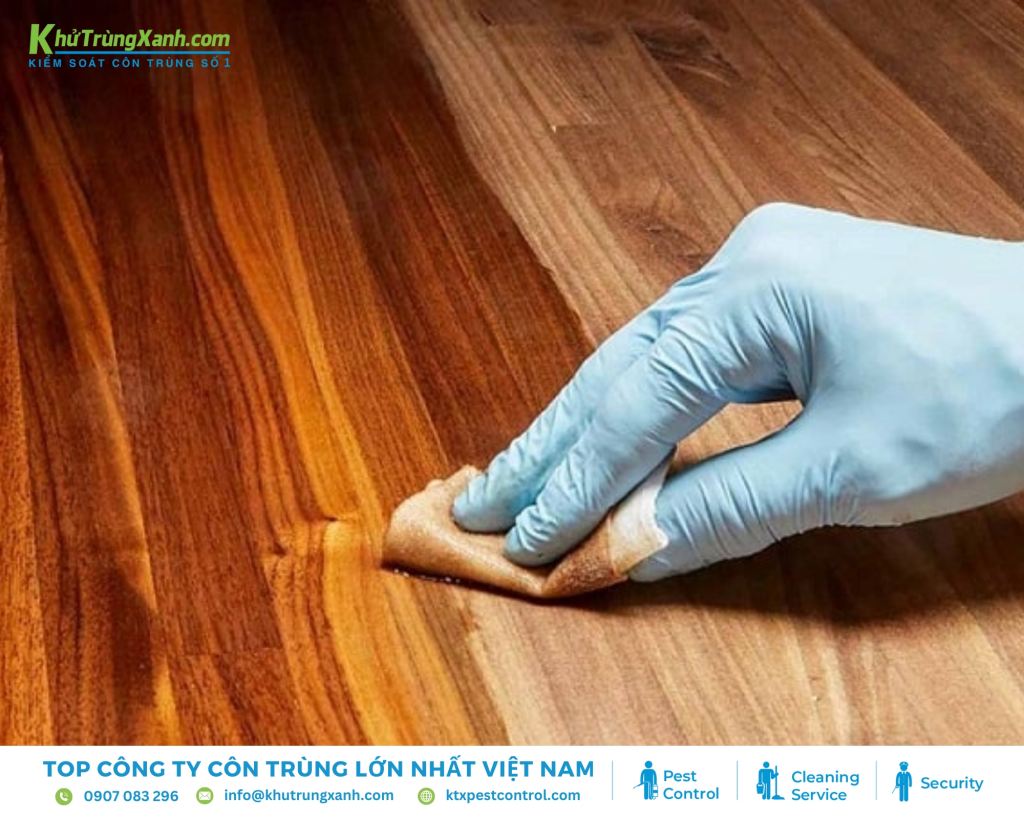 Phòng ngừa mối đơn giản và hiệu quả bằng cách một lớp sơn bảo vệ