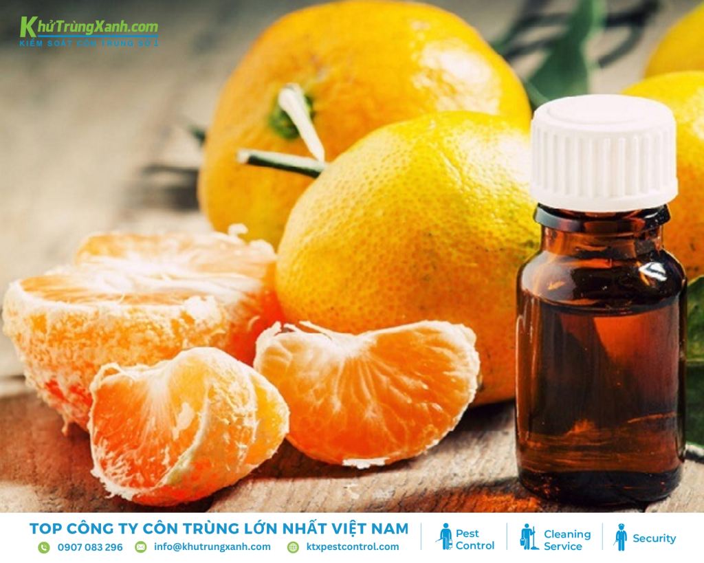 Tinh dầu cam là một phương pháp hiệu quả để diệt mối đất và mối gỗ nhờ hoạt chất d-limonene
