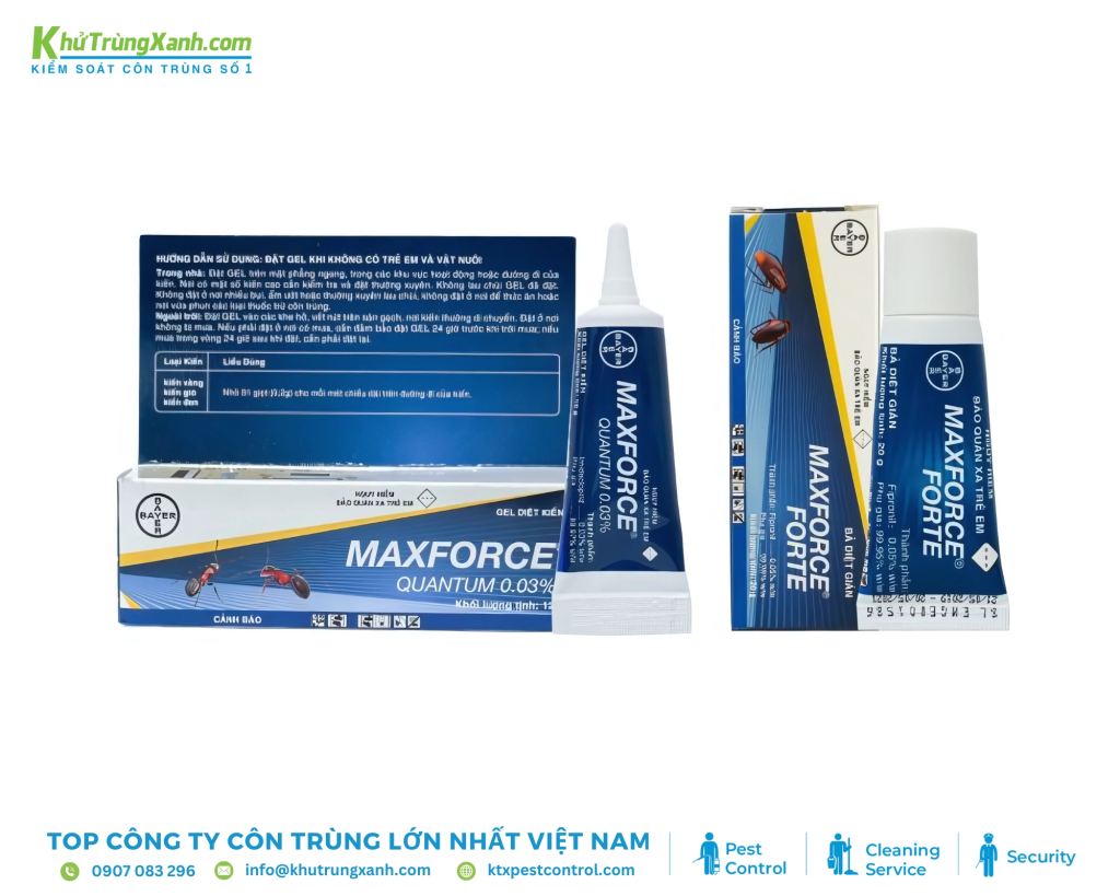 Gel diệt kiến Maxforce Quantum là sản phẩm được đánh giá cao về hiệu quả diệt kiến theo bầy đàn