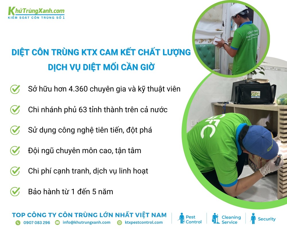 Diệt côn trùng KTX mang đến chất lượng dịch vụ tốt nhất tại Cần Giờ