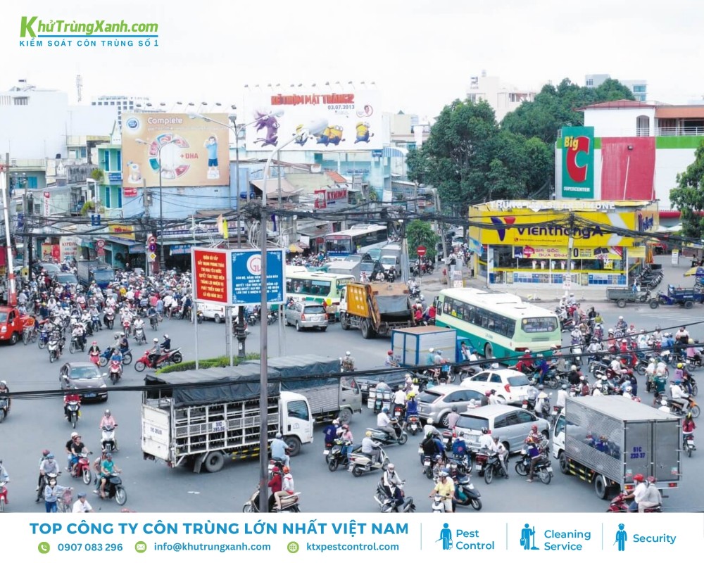 nhu cầu diệt côn trùng tại Gò Vấp