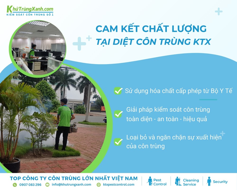 Diệt côn trùng KTX cam kết bảo hành dịch vụ diệt côn trùng Gò Vấp từ 12 đến 24 tháng