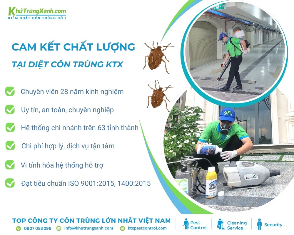 Đội ngũ chuyên viên xử lý côn trùng được đào tạo bài bản và có chuyên môn