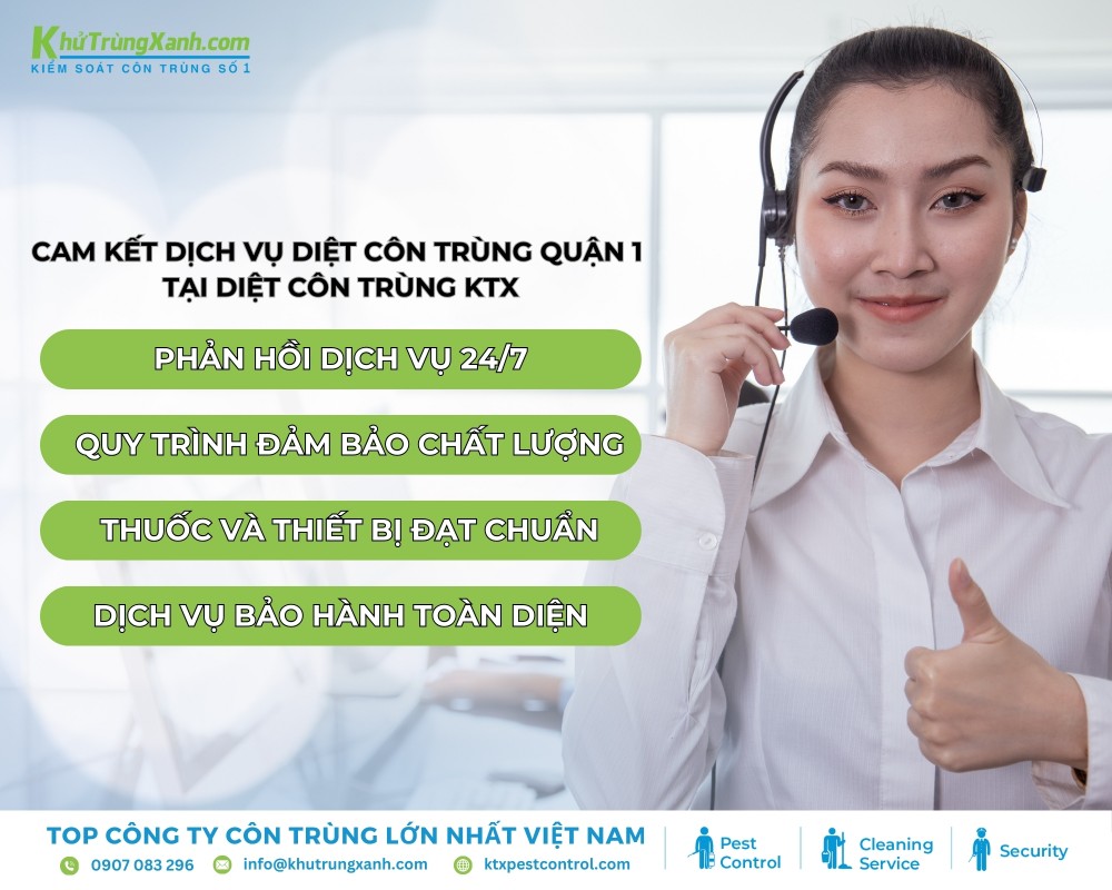 Cam kết dịch vụ diệt côn trùng Quận 1 của công ty diệt côn trùng KTX hàng đầu Việt Nam