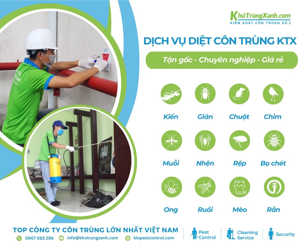 Các dịch vụ mà công ty diệt côn trùng KTX cung cấp