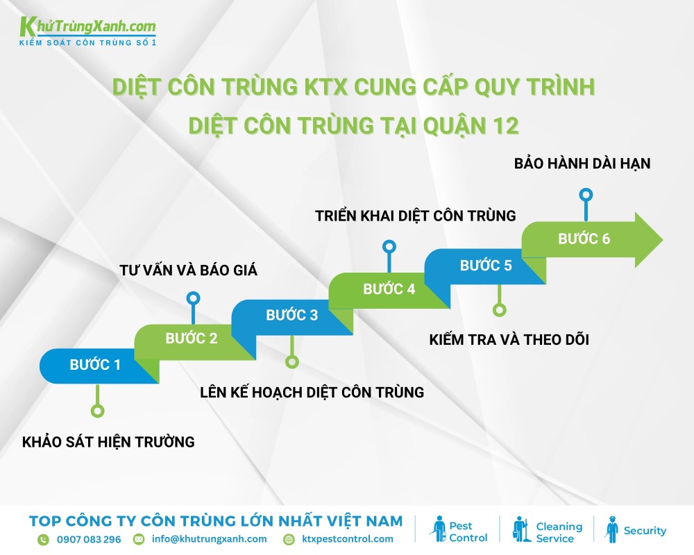 Quy trình Diệt Côn Trùng quận 12 bao gồm 6 bước chuyên nghiệp