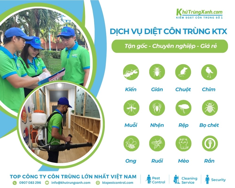 Dịch vụ diệt côn trùng chuyên nghiệp tại Quận 2 của công ty diệt côn trùng KTX