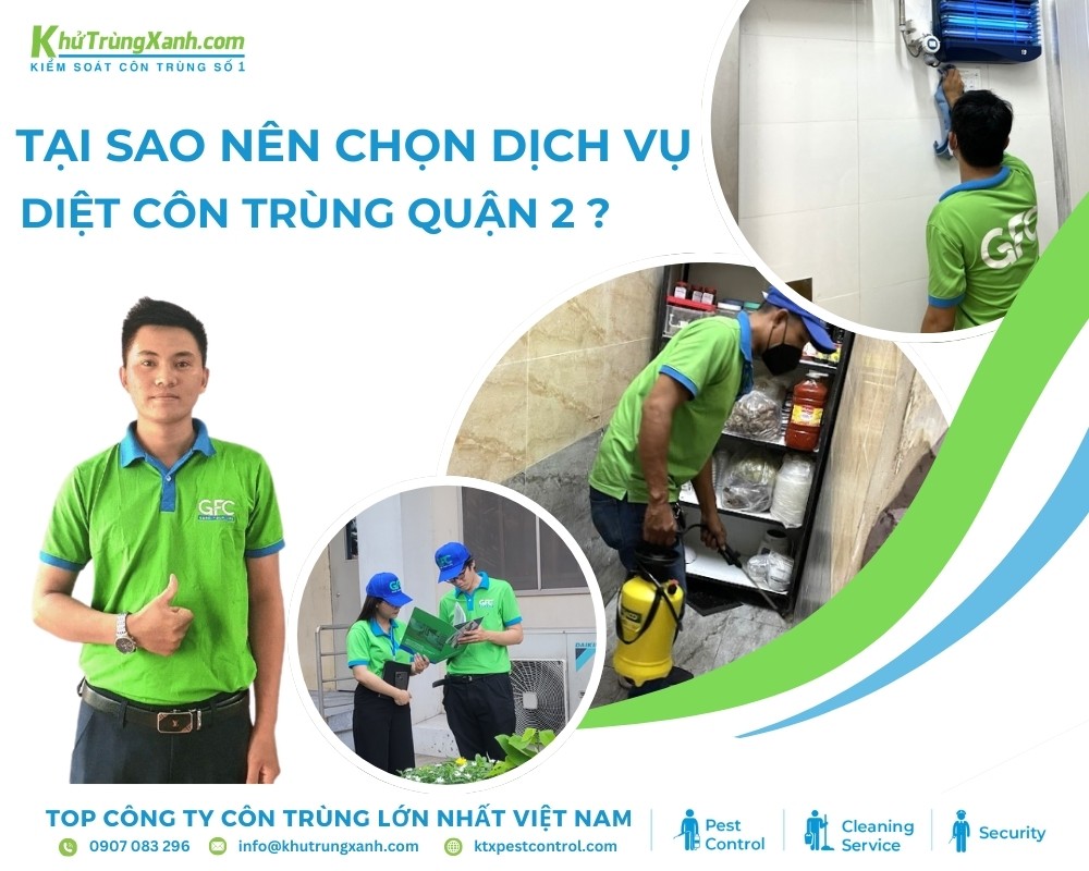 Tại sao cần dịch vụ diệt côn trùng tận gốc tại khu vực Quận 2?