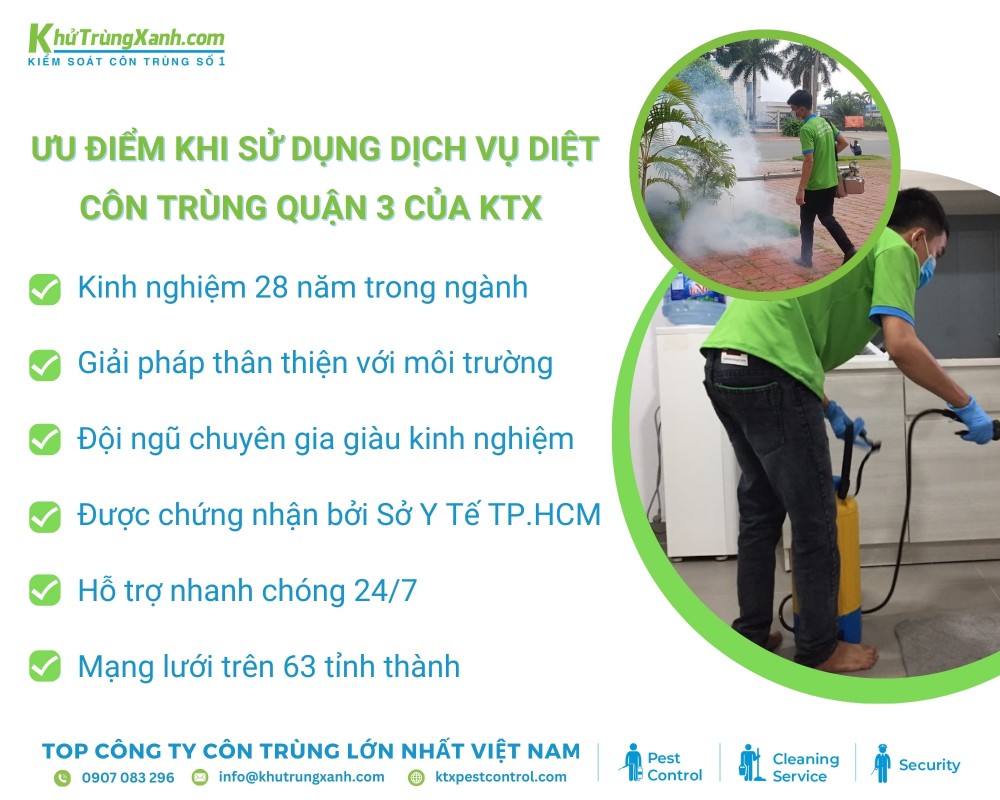 5 ưu điểm nổi bật khi lựa chọn dịch vụ diệt côn trùng Quận 3 của KTX
