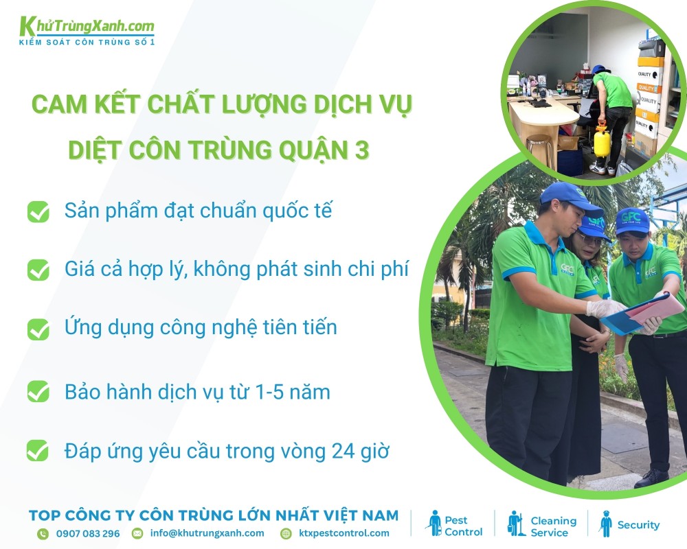 KTX cam kết dịch vụ diệt côn trùng Quận 3 chất lượng uy tín đạt hiệu quả cao