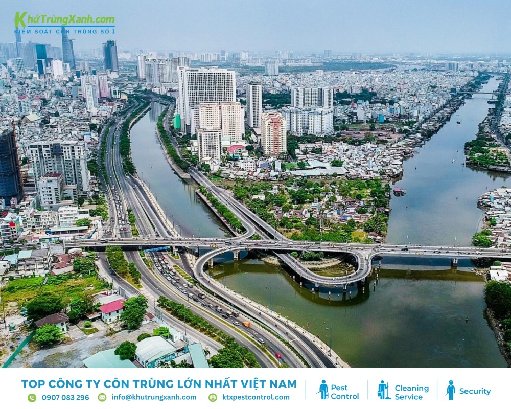 Thực trạng côn trùng gây hại tại khu vực Quận 4 TP.HCM