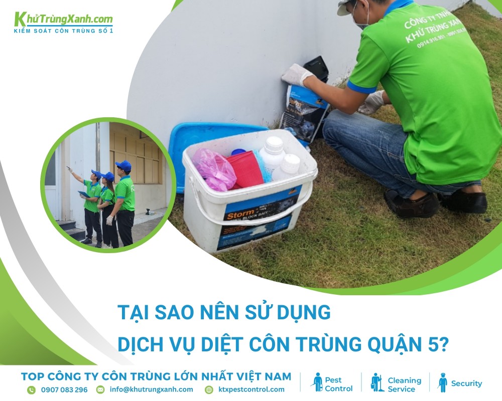 Nhu cầu diệt côn trùng tại khu vực Quận 5 ngày càng tăng cao