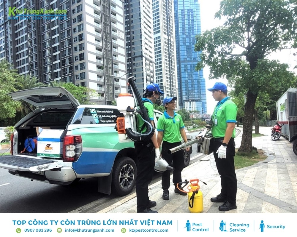 Thực trạng côn trùng gây hại tại khu vực Quận 6