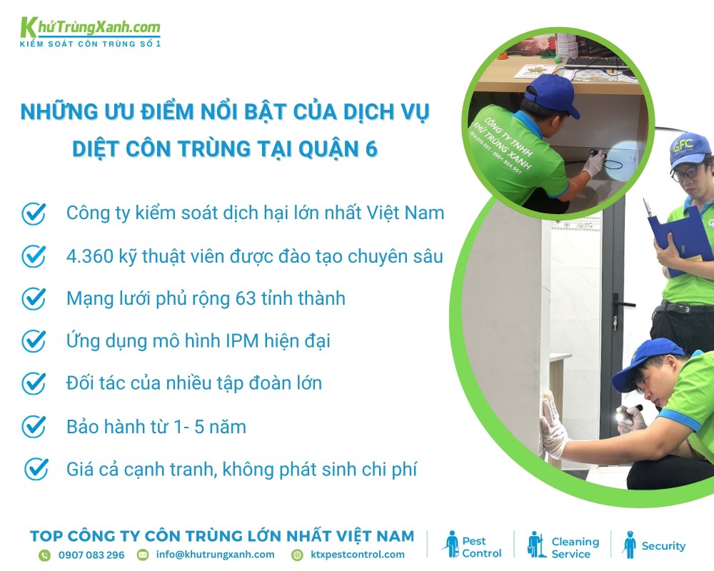 Ưu điểm nổi bật khi sử dụng dịch vụ diệt côn trùng KTX