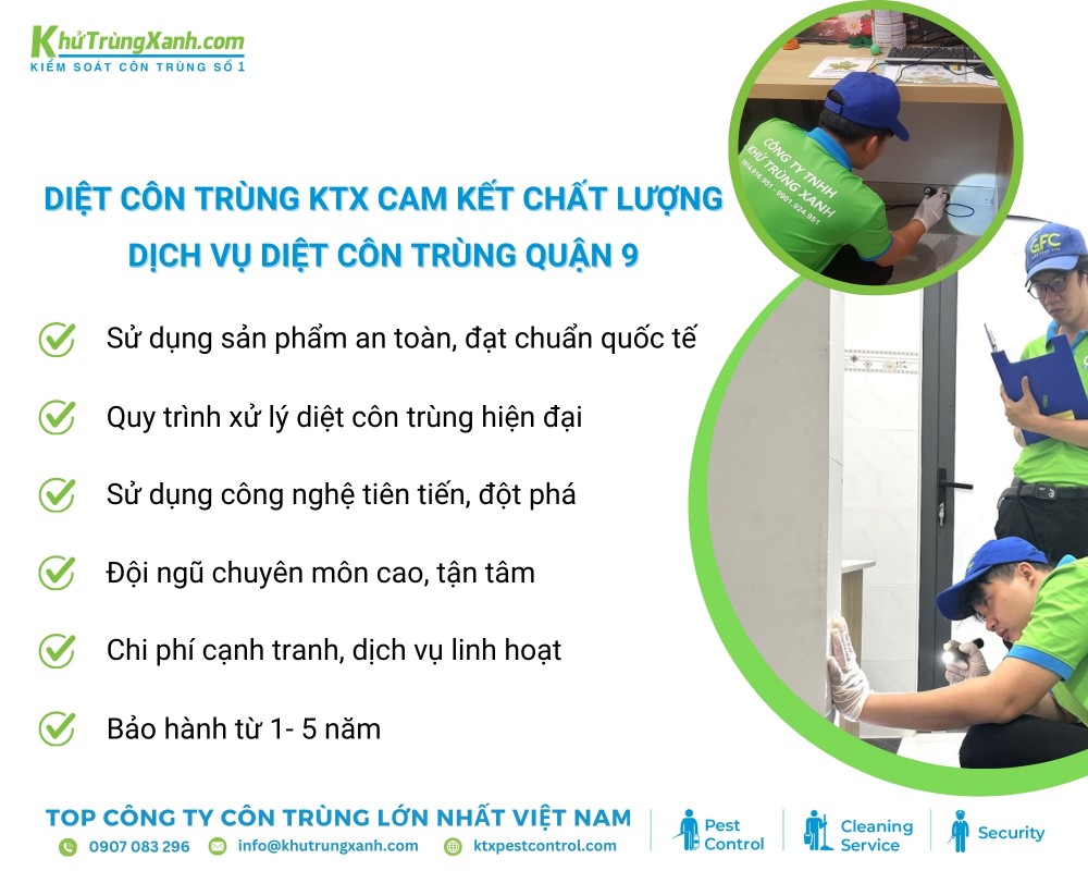 Diệt côn trùng KTX cam kết đem lại chất lượng khi khách hàng sử dụng dịch vụ diệt côn trùng tại Quận 9