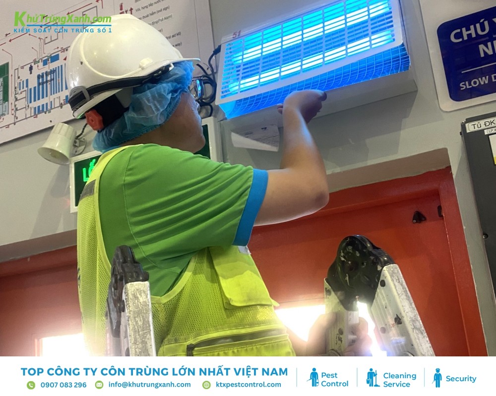 Diệt côn trùng KTX lắp đặt bẫy đèn UV mang lại hiệu quả dẫn dụ côn trùng