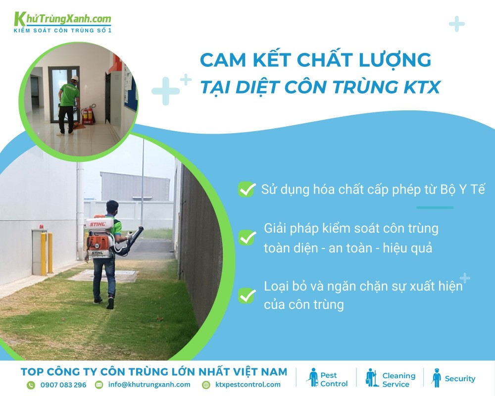 Diệt côn trùng KTX cam kết chất lượng dịch vụ diệt côn trùng Bình Tân chuyên nghiệp