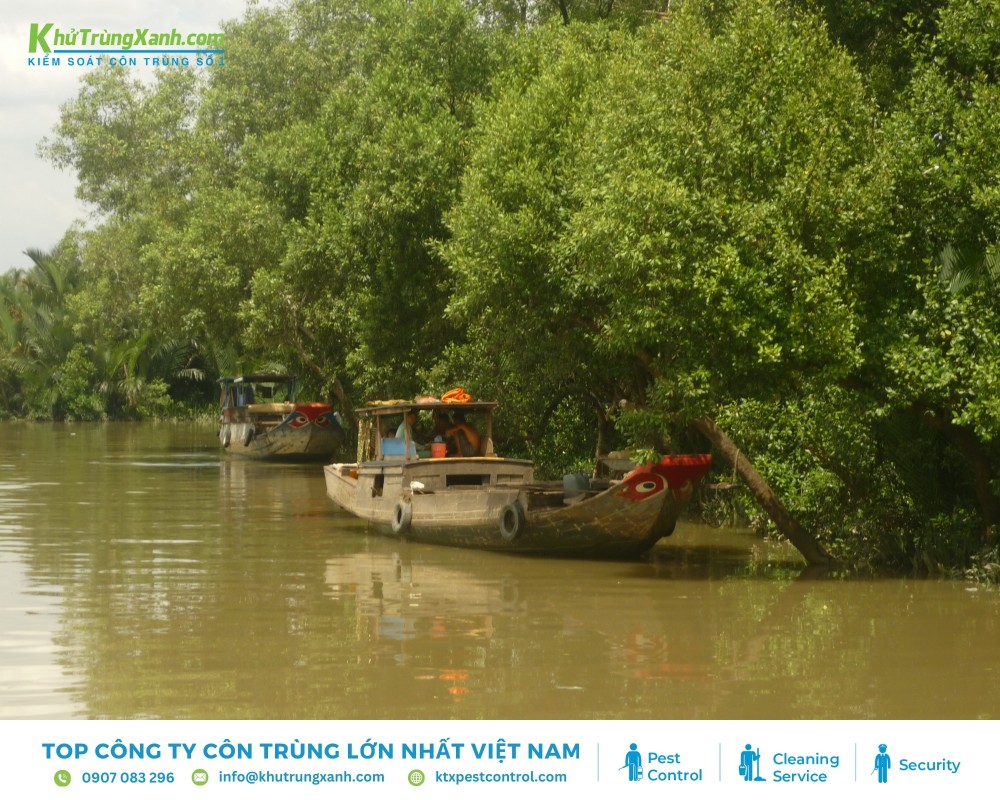 Khu vực Nhà Bè là nơi có độ ẩm cao tạo điều kiện thuận lợi cho côn trùng phát triển