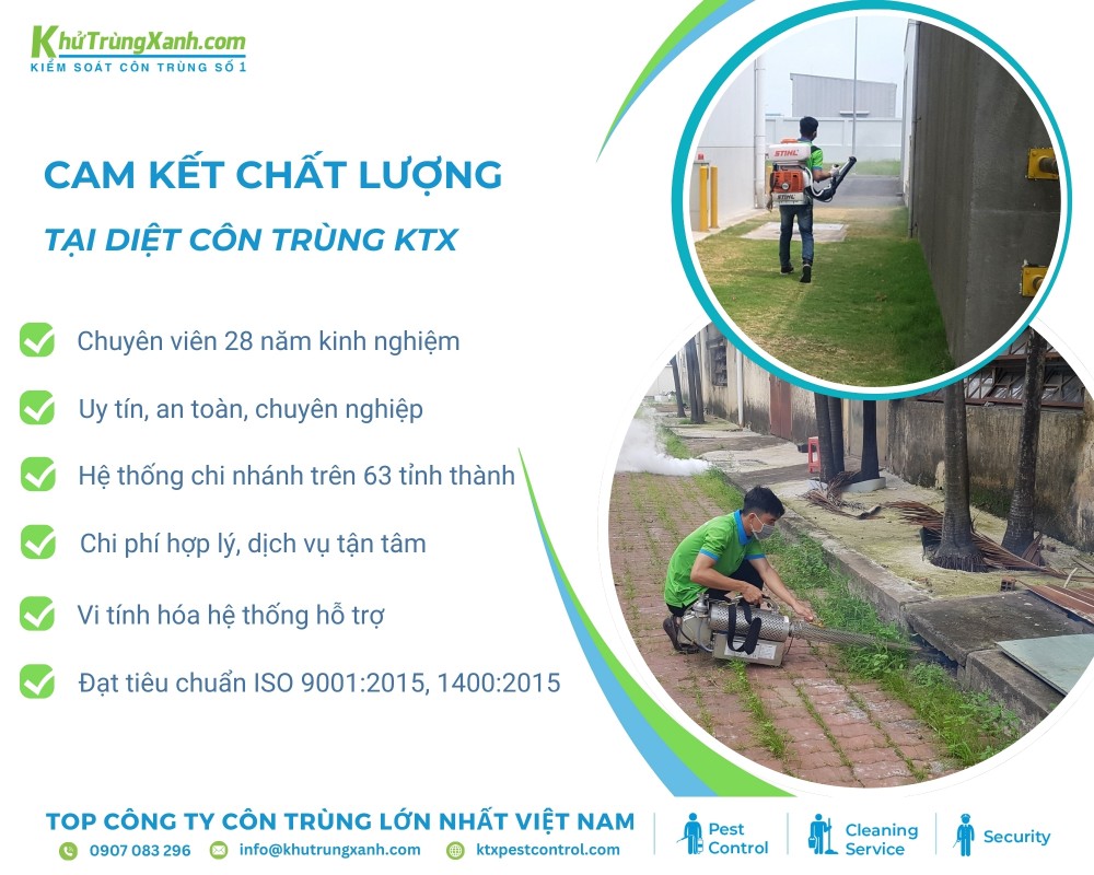 Diệt côn trùng KTX khẳng định uy tín đi đôi cùng chất lượng dịch vụ