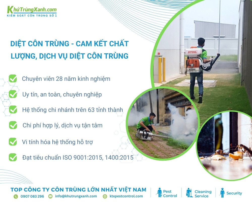 Diệt côn trùng KTX khẳng định chất lượng với 28 năm kinh nghiệm