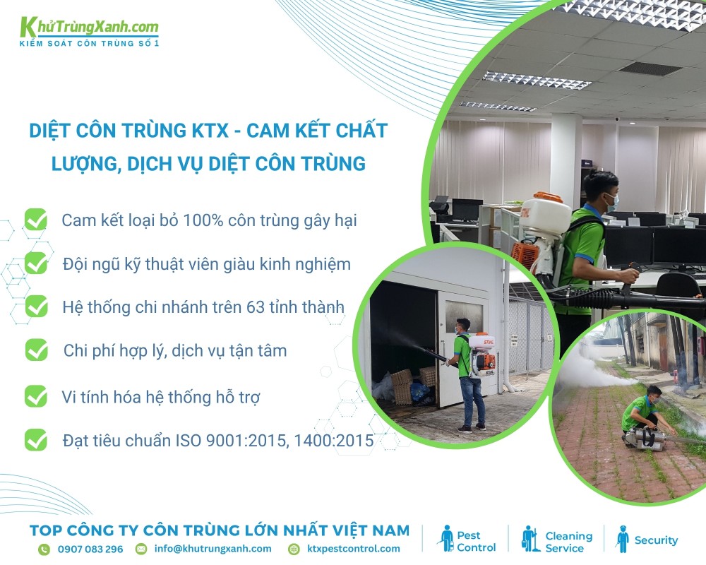 Diệt côn trùng KTX cam kết mang đến chất lượng dịch vụ diệt côn trùng tốt nhất tại Thủ Đức