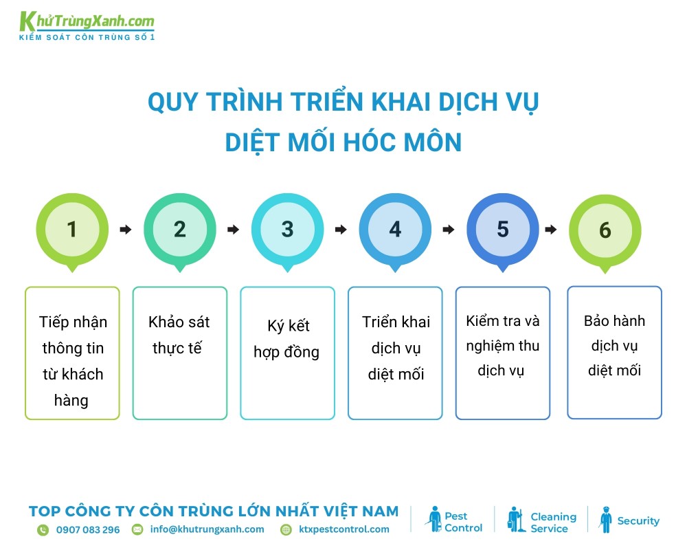 Diệt côn trùng cung cấp quy trình diệt mối Hóc Môn chi tiết