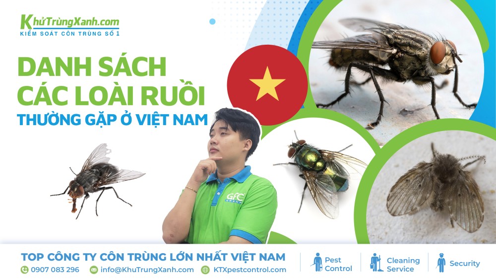 Danh sách các loài ruồi thường gặp ở Việt Nam