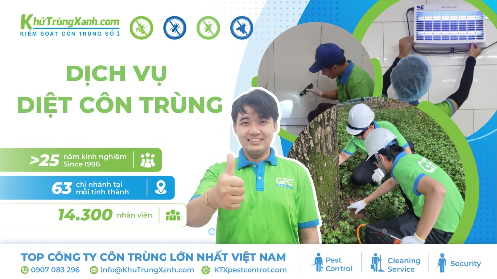 dịch vụ diệt côn trùng