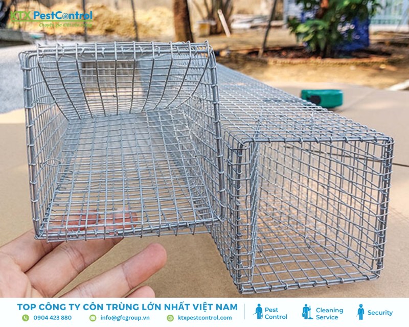 Lắp lồng bắt rắn quanh khu vực rắn thường xuất hiện