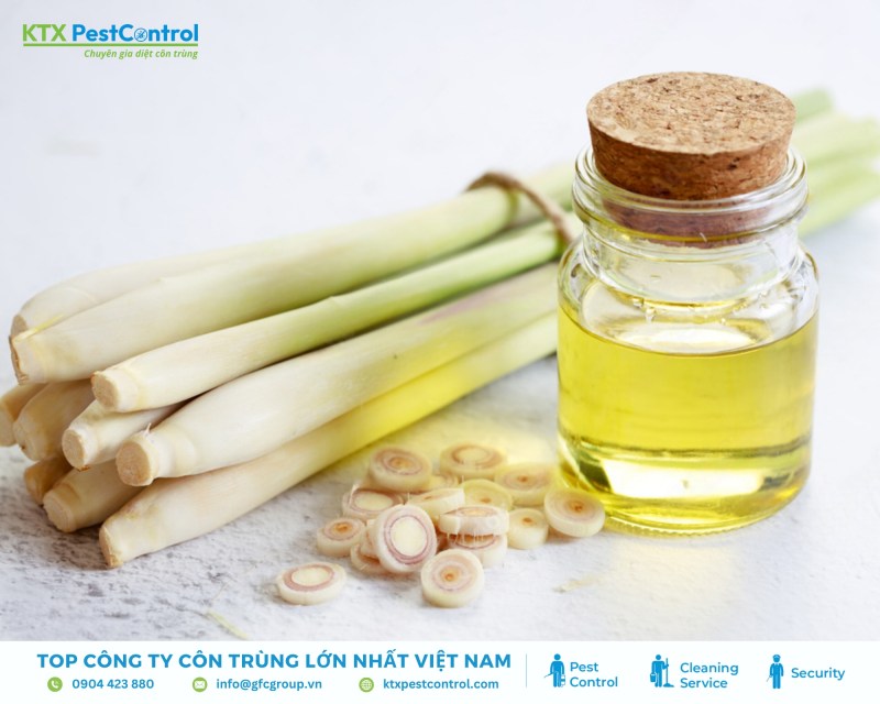 Sử dụng tinh dầu sả để kiểm soát rắn