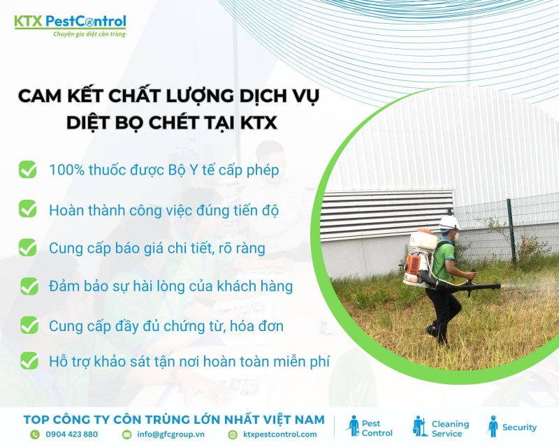 Tại sao chọn chúng tôi