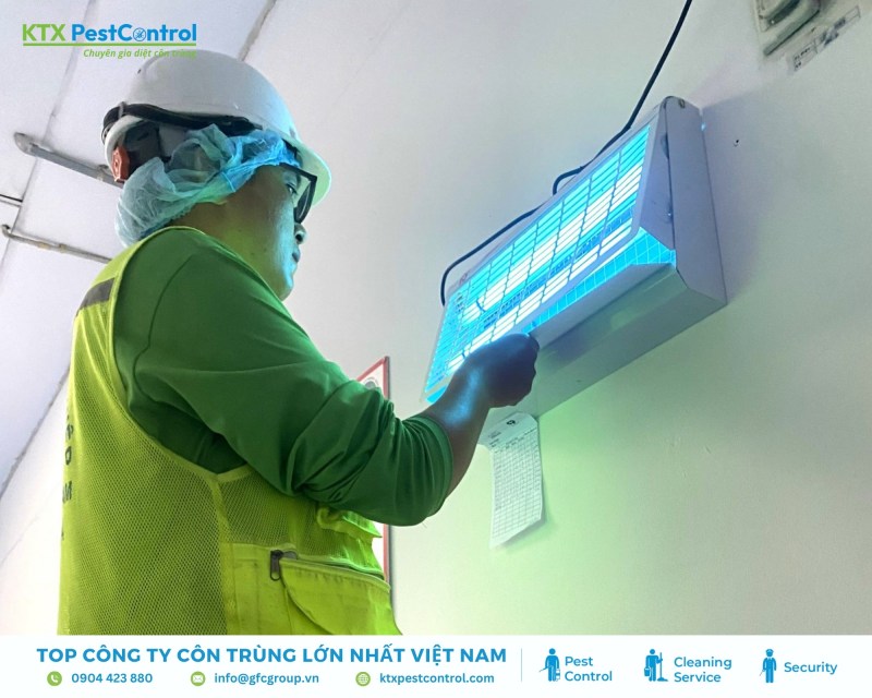 Kỹ thuật viên tiến hành lắp đặt đèn bắt côn trùng
