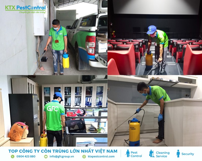 quy trình triển khai dịch vụ diệt kiến