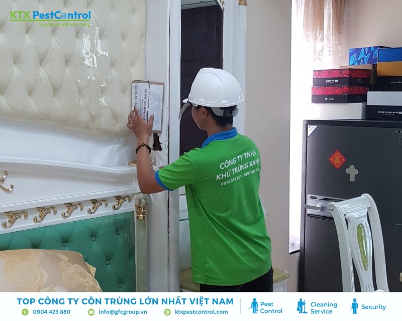 Kỹ thuật viên tiến hành đặt hộp nhử mối