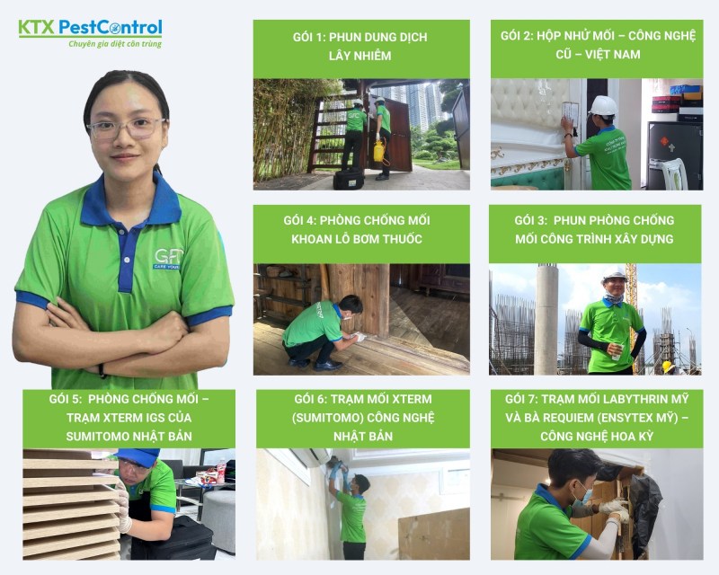 Tổng hợp 7 gói dịch vụ diệt mối tại KTX