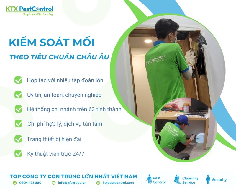 Tại sao chọn chúng tôi