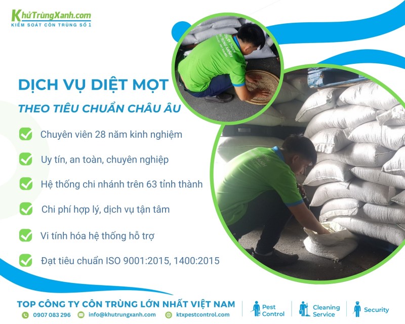 Đội ngũ kỹ thuật viên có chuyên môn cao và nhiều kinh nghiệm trong lĩnh vực kiểm soát côn trùng