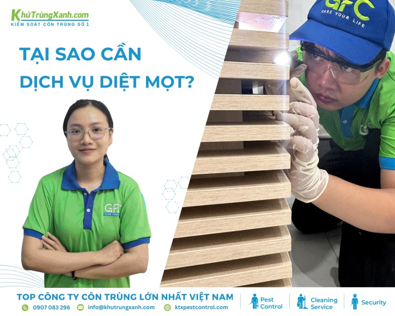 Diệt Côn Trùng KTX cung cấp các giải pháp kiểm soát mọt tiên tiến